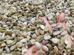 -汤W城市微度假(仓山店)