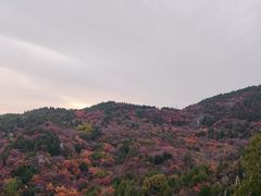 -府君山公园