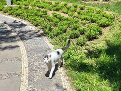 -燕郊植物园