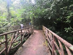 -海南热带雨林国家公园吊罗山景区