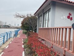 -高东镇樱花园