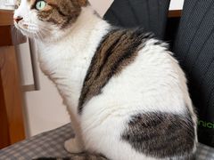 -佑安动物医院·全科·内窥镜中心(幸福巷店)