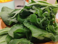 -龍歌自助小火锅(市北台东利群店)