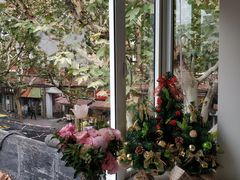 -蝶舍·MAISON PAPILLON