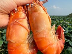 -七的湖·晚芳亭·阳澄湖农家菜·大闸蟹(莲花岛店)