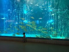 -福州罗源湾海洋世界旅游区