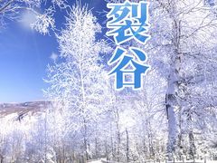 -武陵山森林公园