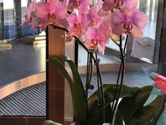 -眉州东坡(通州店)