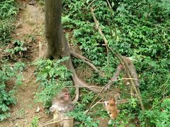 -黔灵山公园-南门售票处