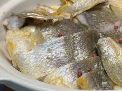 砂锅焗黄花鱼-1937青岛老味道·海肠捞饭·青岛菜(大鲍岛栈桥店)