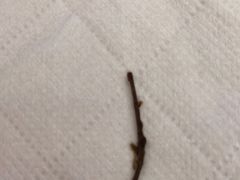 -Dough&Joe团憩(瑞虹天地月亮湾店)