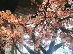 -绿茶餐厅(松江万达店)