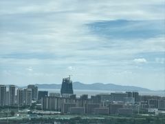 -长田漾湿地公园