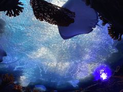 -南昌融创海世界