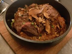 -Hi City·城市之巅