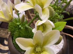 -北京全聚德(王府井店)