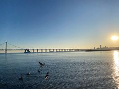 -星海广场