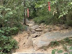 -北京西山国家森林公园