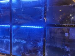 -云中鱼蒸汽石锅鱼(川沙百联店)