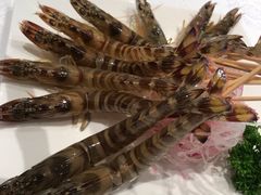 斑节虾-行家海鲜火锅酒家(静安寺店)