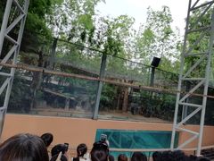 -清迈夜间动物园