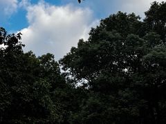 -杭州花家山庄