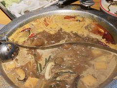 -成老灶火锅鸡(平山店)