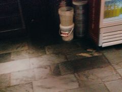 -管氏翅吧(广渠门店)