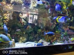 -水上乐园·欢乐世界