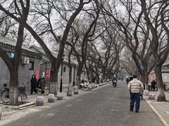 -北京国子监胡同