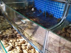 -蟹谢蒸鲜自助餐厅