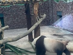 -黔灵山公园