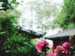 -大妙火锅·非物质文化遗产(东湖公园店)