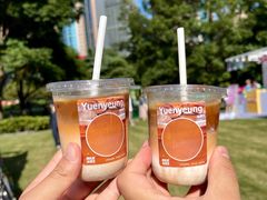 -陆家嘴中心绿地