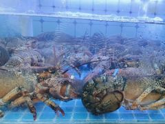 -日照大牌檔•小船海鲜(万平口店)