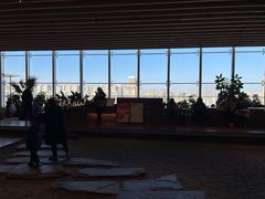 -Seesaw Coffee(朝阳大悦城店)