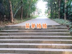 -深圳国际园林花卉博览园