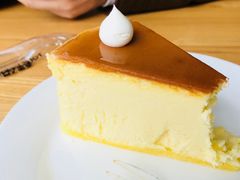 -今日艺术汇书店