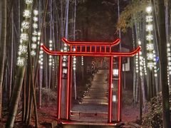 -杭州黄龙洞