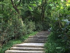 越秀游泳场-越秀山游泳场