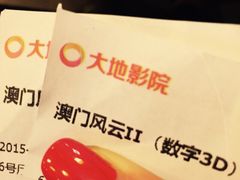 -大地影院(上海南汇店)