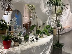 -麓椿花园西餐厅(海乐世界店)
