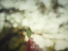 -斑马飞扬传媒·企业影视制作服务商(北京店)