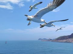-海驴岛(荣成市)
