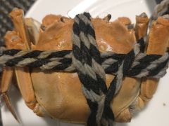 -菊上料理(蜀山银泰百货店)