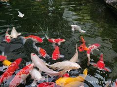 -聚福宝合苑食府(南头镇店)