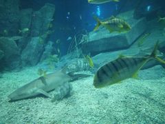 -福州罗源湾海洋世界旅游区