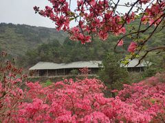 -木兰云雾山