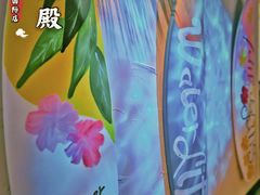 -泰妃殿(宏伊国际广场店)