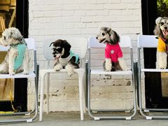 -小意思咖啡店(草桥店)